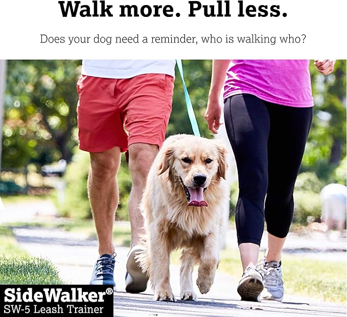 DogWatch SW-5 Dog Leash Trainer - Stop Dogs from Pulling on The Leash, Self Teaching Electronic Collar, 3 Levels of Static Stimulation, Vibration, Progressive Modes, Rechargeable, Waterproof