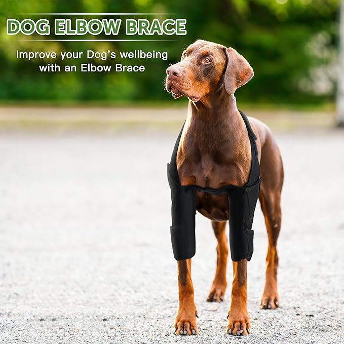 Dog Elbow Protector for Dogs Elbow Dysplasia, Shoulder Dislocation - Offers Elbow Support, Pet Recovery Suit Taper Collar Alternative, Helps Wound Healing, Prevents Licking and Biting, M