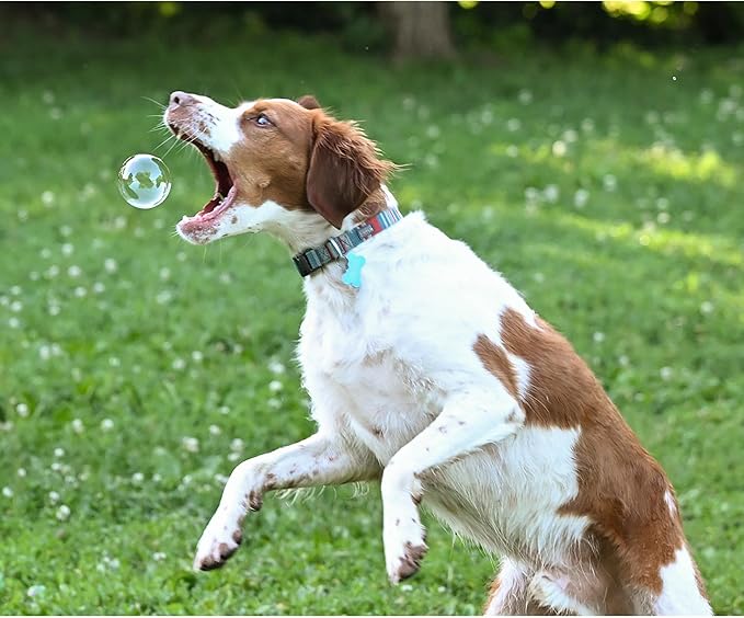 Puppy Love Bubbles, Bacon Scented Bubbles 4oz. Bottle-2 Pack in Bacon Flavor for Dogs