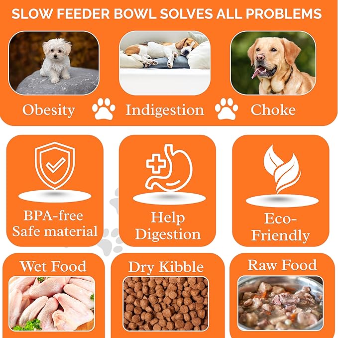 2 PCS Slow Feeder Dog Food Bowl – Bowl Designed to Slow Eating, Promotes Healthy Digestion and Prevents Bloat, Ideal for Cats and Dogs (SkyBlue-Yellow)