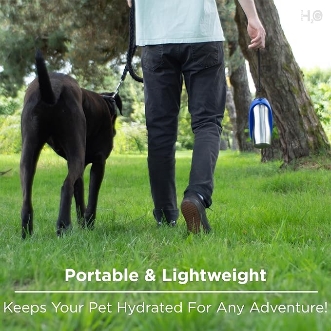 Portable Dog Water Bottle, 24 oz, Stainless Steel, Convenient Pet Water Dispenser, Collapsible Travel Bowl, Walking, Hiking, and Outdoor Activity, Compatible with Various Pets, Houd2Go (Orange, 24oz)