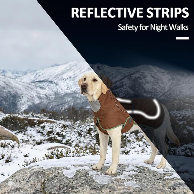Softshell Dog Coat for Winter Walks and Hiking, Windproof and Water-Repellent Jacket with Harness Opening and Reflective Strips, Ideal Stocking Stuffer for Active Dogs (Brown, Medium)