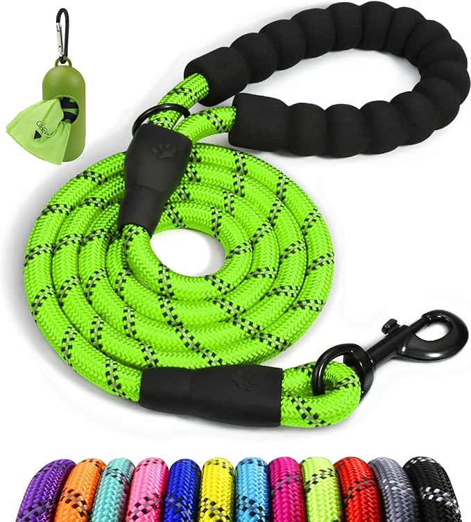Taglory Rope Dog Leash 5 FT with Comfortable Padded Handle, Highly Reflective Threads Leash for Small Dogs, 3/8 inch, Green