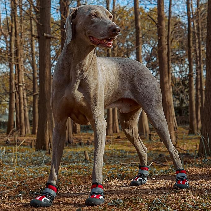 Dog Shoes, Waterproof Dog Boots & Paw Protectors with Anti-Slip Sole, 4pcs/Set Pet Dog Booties, Reflective Dog Shoes for Small Medium Large, Winter Snowy Summer Hot Pavement (Red, 4# (S))