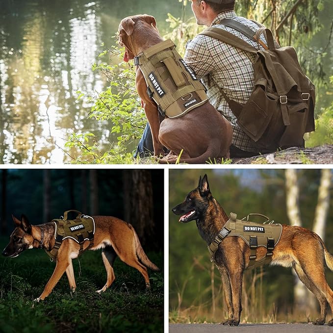 WINSEE Mesh Dog Harness with 10 Pet Patches for Large Service Dog in Training, Breathable Tactical Molle Vest with Double Handles, Reflective Military Pet Vest for Walking Hiking