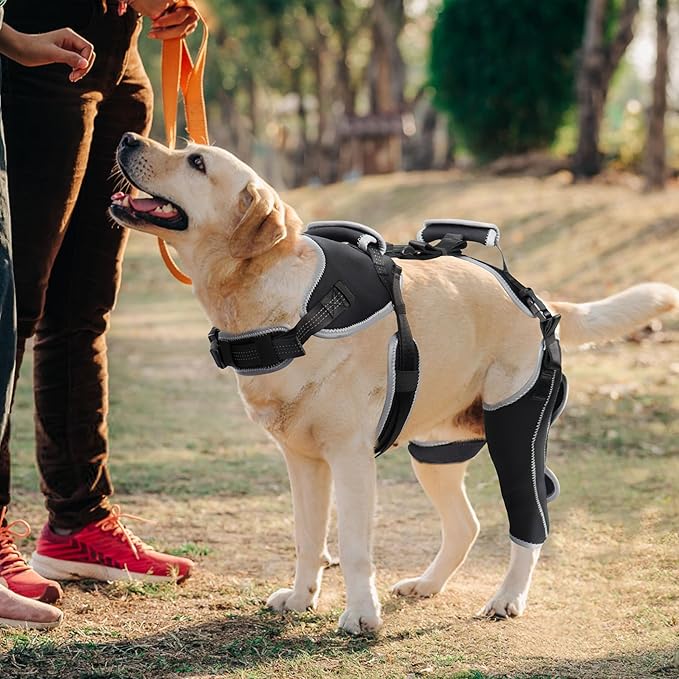 Dog Knee Support for ACL Tear Rehabilitation and Dislocated Patella -Adjustable Leg Support and Sufficient Breathability,Injury Recovery and Balance Assistance-Left Leg-XL Size