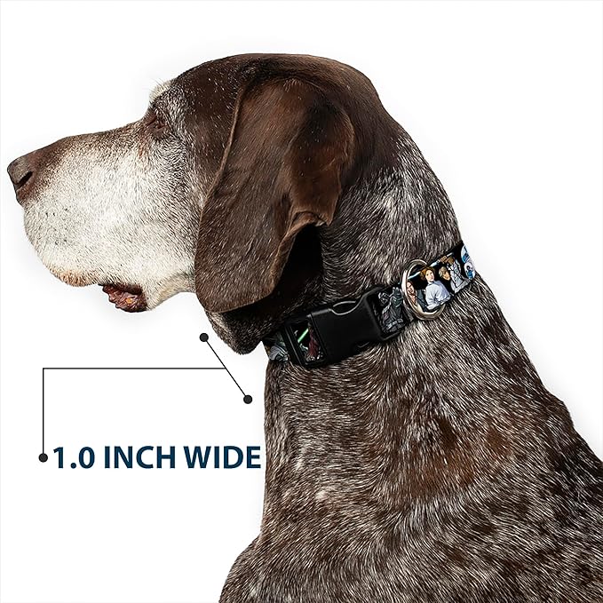 Star Wars Pet Collar, Dog Collar Plastic Buckle, Star Wars Classic Character Poses Black, 11 to 16.5 Inches 1.0 Inch Wide