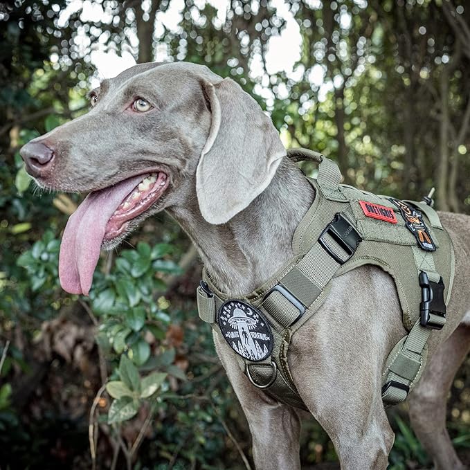 OneTigris Tactical Dog Harness Vest with Handle, Military Dog Harness for Large Medium Dogs,FIRE Watcher 2.0 No-Pull Service Dog Vest,Adjustable Dog Vest Harness for Walking Hiking Training(L,Green)