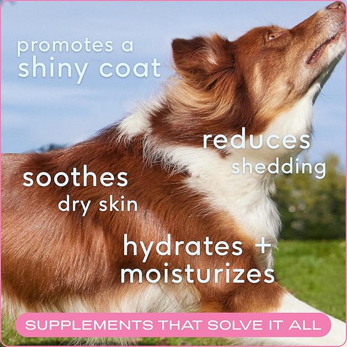 Native Pet Omega Skin and Coat Chews for Dogs (30 Air-Dried Chews) & Allergy Chews (30 Air-Dried Chews) - Promotes Healthy Skin & Shiny Coat - Soothing Itchy Skin & Digestive Support