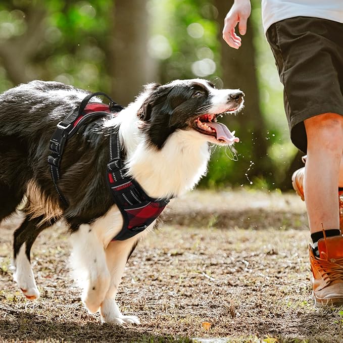 rabbitgoo Dog Harness No Pull with 2 Leash Clips, Adjustable Soft Padded, Reflective Oxford No Choke Pet Vest with Easy Control Handle for Large Dogs, Red Plaid, XL