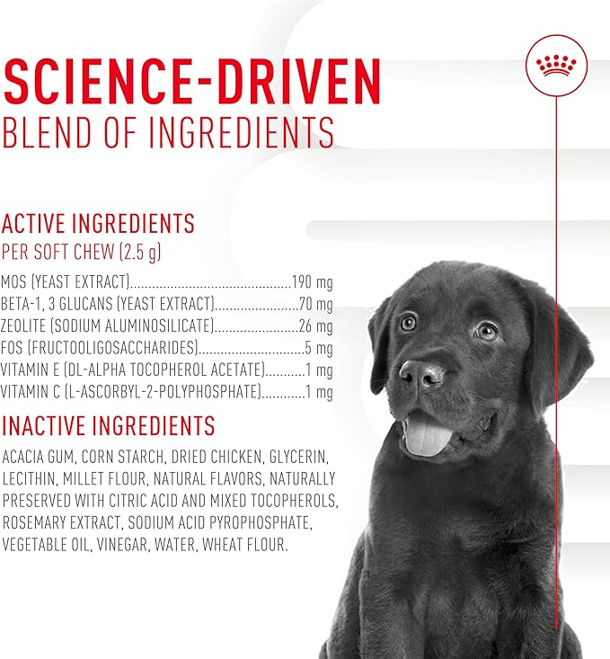 Royal Canin Puppy Supplement Soft Chews for Immunity & Digestion, 60 Count (Pack of 3)