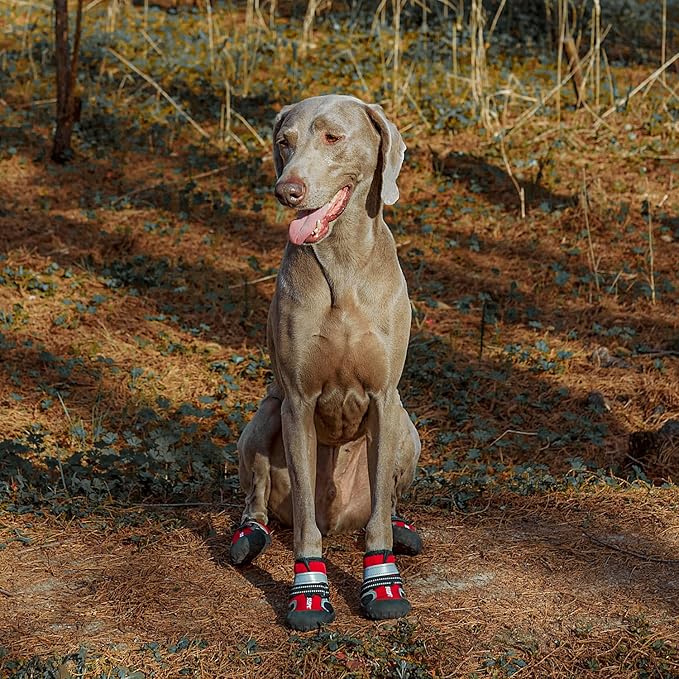 Dog Shoes, 4 PCS Dogs Booties Hot Pavement, Waterproof Non-Slip with Reflective Strips, Large Medium Small Puppy Paw Protector for Walking