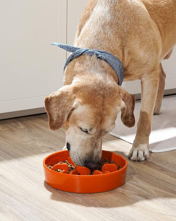 LE TAUCI Dog Slow Feeder Bowl Ceramic, 3 Cups Slow Feeding Dog Bowl Medium Large Breed, Maze Dog Bowl for Fast Eaters, Dog Dishes to Slow Down Eating, Puzzle Dog Food Bowl, Dog Maze Bowl