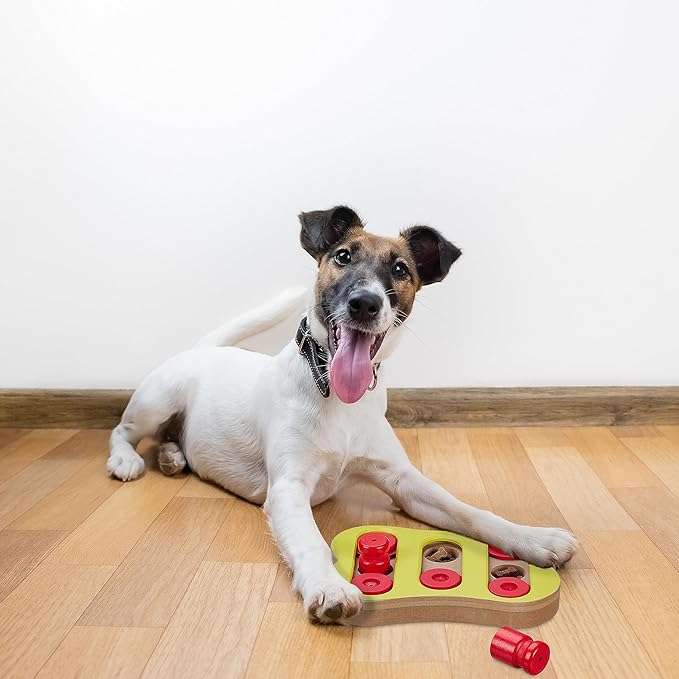 Relaxdays Intelligence Toy for Dogs, Hide Treats, Interactive Dog Toy, Intelligence, MDF, Multicoloured
