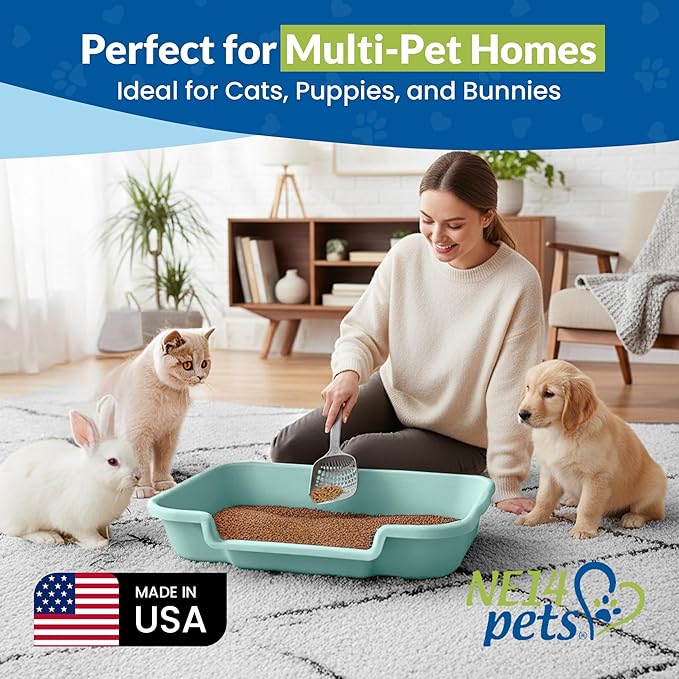 KittyGoHere Senior Cat Litter Box, Large Litter pan, Open Top Low Entrance Kitty Litters Box, Lightweight Low Entry Litter Box, Durable, Made in USA (2 Pack - Apple Green)