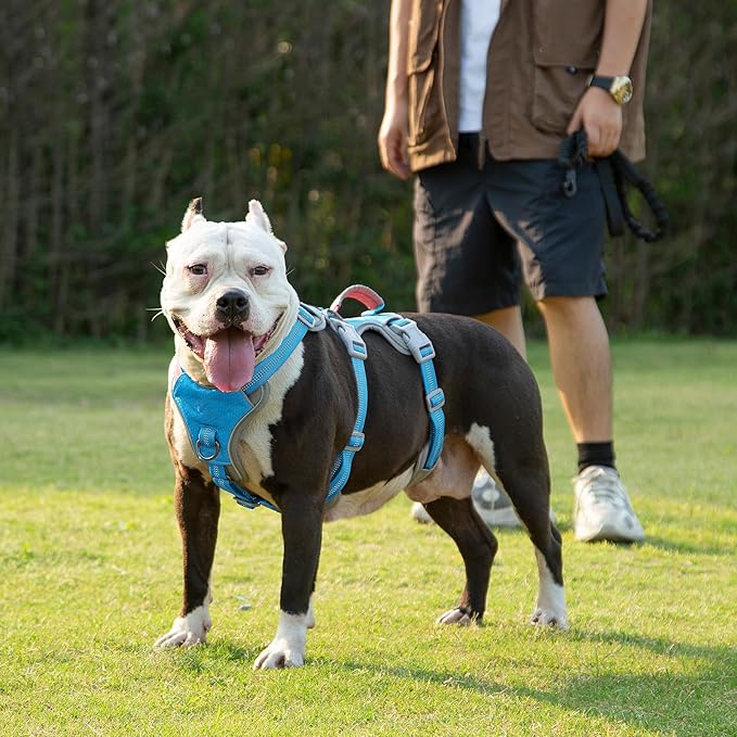 Huntboo Escape Proof Dog Harness, Escape Artist Harness, Reflective Harness with Padded Handle, Breathable, Durable, Adjustable Vest for Medium Dogs Walking, Training, and Running Gear (Blue, L)
