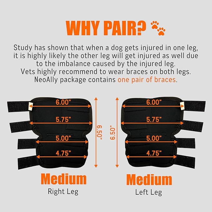 NeoAlly® - Rear Leg Hock Brace, Dog Leg Brace for Rear Leg, Hock & Ankle Support for Large Dogs, Dog Brace for Torn Acl and Ccl, Long Version, Medium, 1 Pair