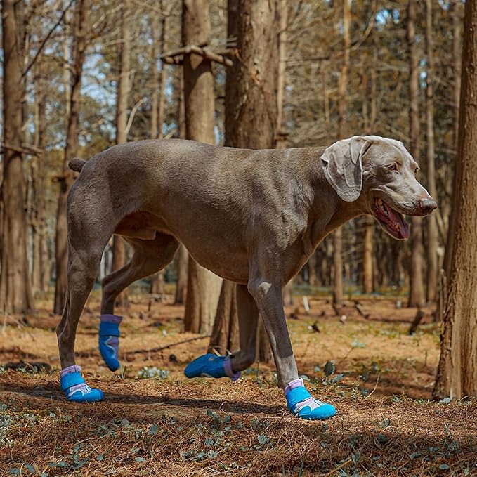 Dog Shoes, Waterproof Dog Booties Paw Protector for Hot Pavement, Snowy Day, Outdoor Walking Skip-Proof Dog Shoes Blue 2.6in L