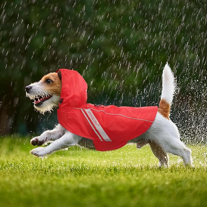 VIVAGLORY Wetoff Dog Raincoat, Rain Coat for Dog All Seasons Adventure, Rain Jacket with Harness Hole & Hood, Reflective Lightweight Waterproof for Doggy & Puppy, XL, Red