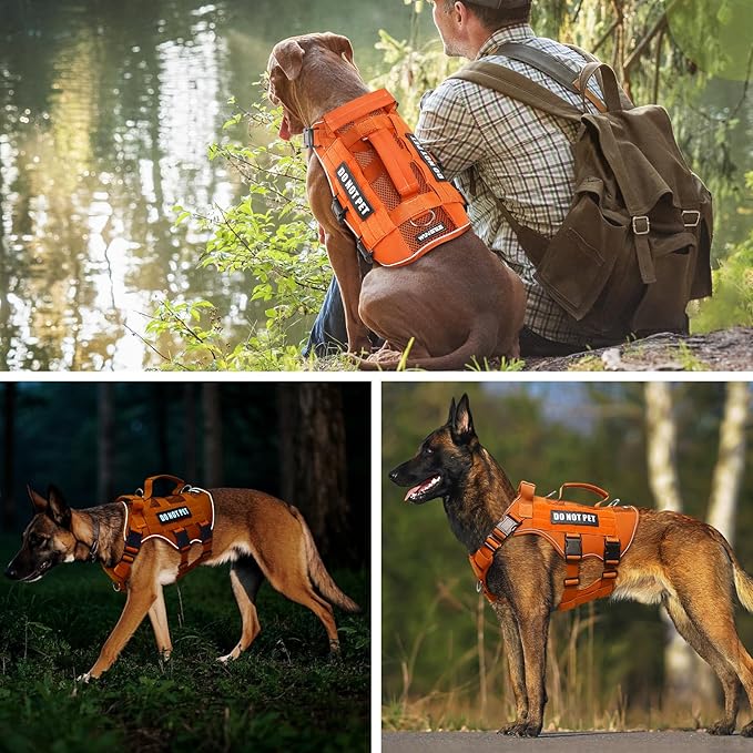 WINSEE Mesh Dog Harness with 10 Pet Patches for Large Service Dog in Training, Breathable Tactical Molle Vest with Double Handle, Reflective Military Pet Vest for Walking Hiking