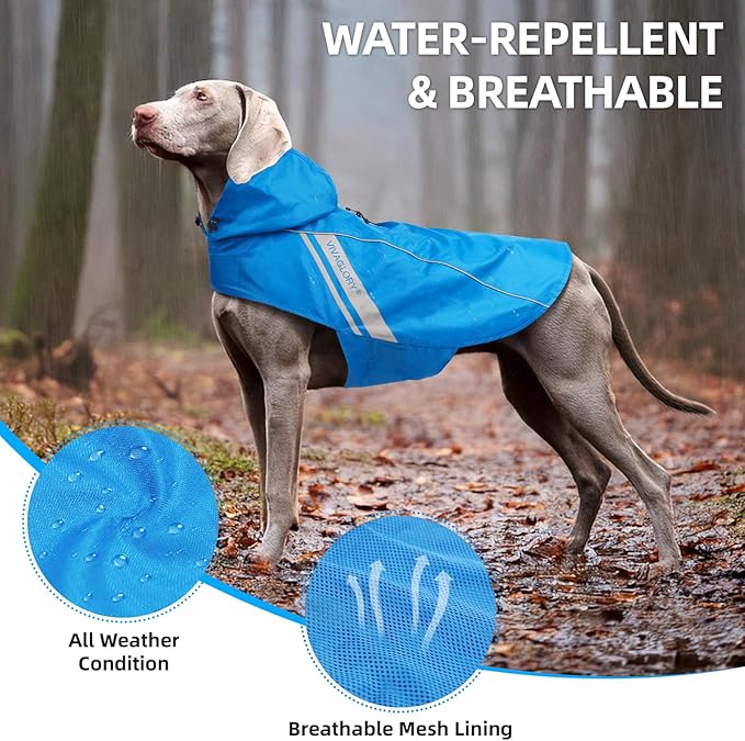 VIVAGLORY Wetoff Dog Raincoat, Rain Coat for Dog All Seasons Adventure, Rain Jacket with Harness Hole & Hood, Reflective Lightweight Waterproof for Doggy & Puppy, M, Blue