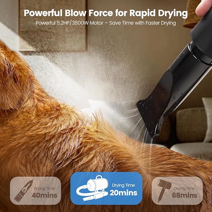 Dog Dryer, 5.2HP/3800W High Velocity Dog Hair Dryer with 4 Nozzles, Stepless Adjustable Speed & Temperature Control, Low Noise Professional Grooming Dryer (Blue)