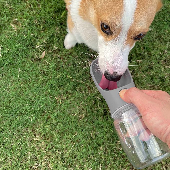 WePet Portable Dog Water Bottle with Food Container, 19 OZ + 6 OZ, Leak Proof Puppy Water Dispenser with Drinking Feeder for Pets Outdoor Walking, Hiking, Travel, Food Grade Plastic
