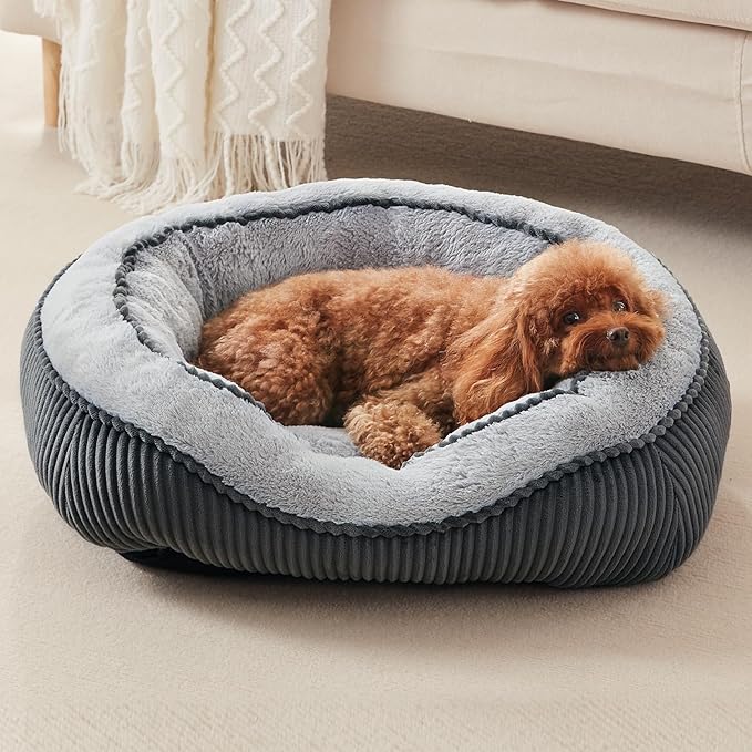 SIWA MARY Small Dog Beds for Small Dogs Washable, Rectangle Dog Bed Medium Size Dog, Orthopedic Dog Bed, Soft Calming Sleeping Puppy Bed, Durable Pet Sofa Bed with Anti-Slip Bottom, S(20"x19"x6")