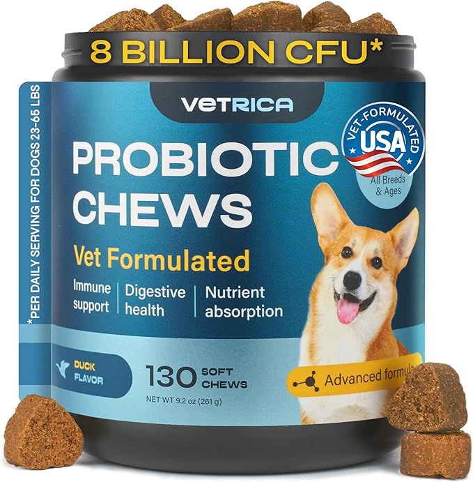 Chews for Digestive and Gut Health, Probiotics for Dogs - Chewable Canine Immune System Supplement - Prebiotic Soft Treats - Yeast Powder, Wild Yam