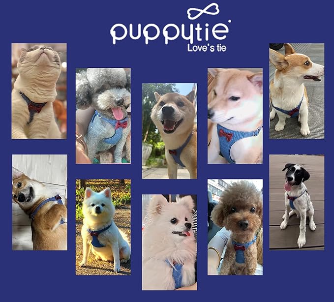 Puppytie No Pull xs Dog Harness with Multifunction Dog Leash,Soft Adjustable No Choke Escape Proof Pet Harness Vest,Plaid Blue,xs