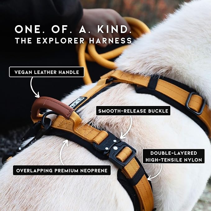MADE TO ROAM Premium Explorer Harness - Y-Shaped Dog Harness with Adjustable Durable Nylon, Soft Padding, Metal Buckles and Leather Handle for Small, Medium, Large Dogs (Utah Glow, Size 4)