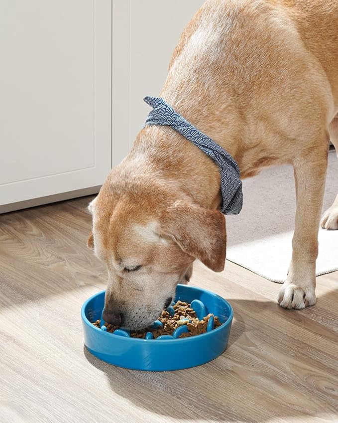 LE TAUCI Dog Slow Feeder Bowl,3 Cups Ceramic Maze Pattern for Large Breed,Bule and Pink