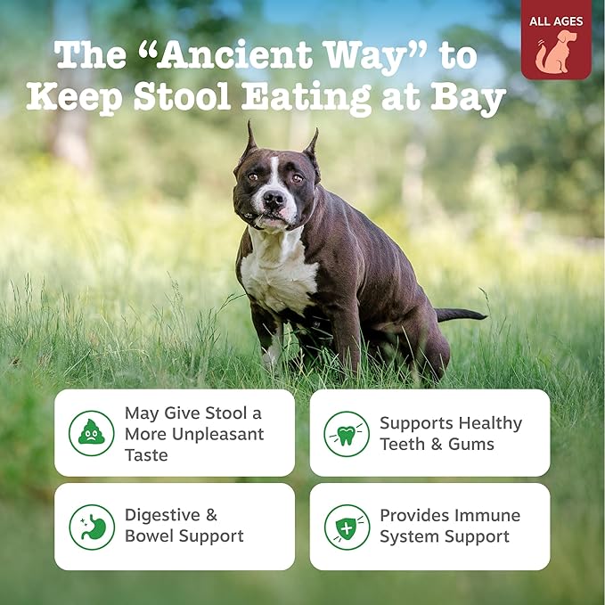 Zesty Paws Chew No Poo Bites for Dogs - Stool Eating Deterrent Soft Chews for Dogs - Gut, Periodontal & Immune System Support - Premium DE111 Bacillus subtilis Probiotic - AE Bison - 90 Count