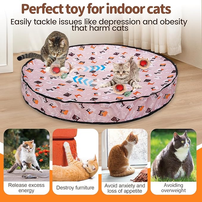 Interactive Cat Toy for Indoor Cats, Rechargeable Kitten Toy for Chasing and Hunting, Hide and Seek Mouse Catching Game with Automatic Motion-Activated Moving Ball