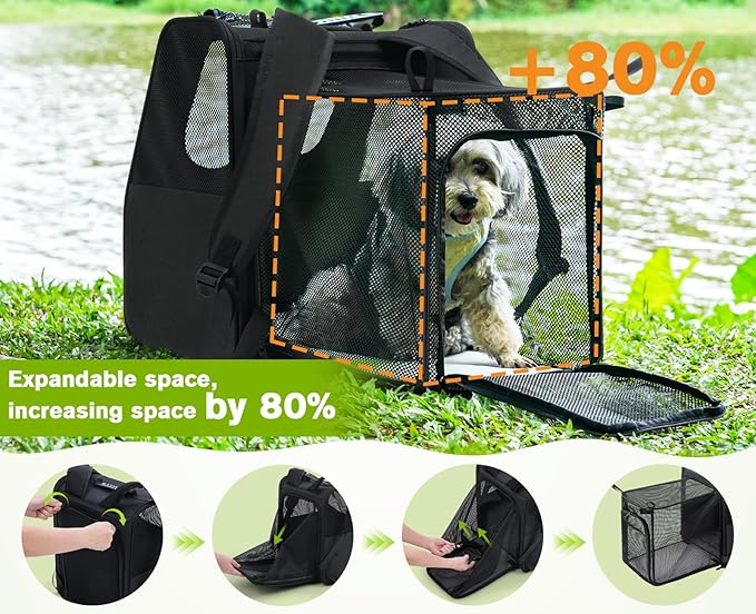 Expandable Cat Backpack Carrier — Ventilated Mesh, Safety Leash, Up to 11lbs (Black)