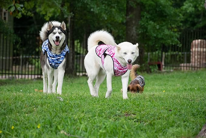 Dog Cooling Vest - 2-Layer Lightweight Performance - UPF50+ Full Coverage & Adjustable Fit for Small to Large Dogs (Green, X-Large)