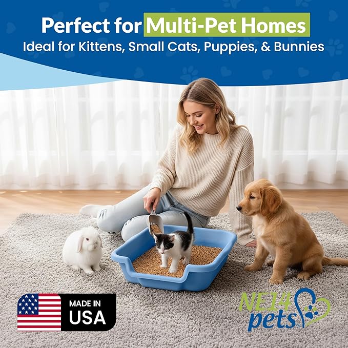 KittyGoHere Senior Cat Litter Box, Small Litter pan with Long-Handle Jumbo Scoop, Open Top Low Entrance Kitty Litters Box, Lightweight Low Entry Litter Box, Durable, Made in USA (2 Pack - Blue)