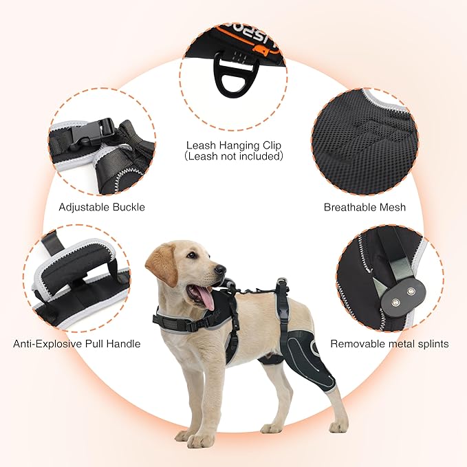 Dog Knee Support for ACL Tear Rehabilitation and Dislocated Patella -Adjustable Leg Support and Sufficient Breathability,Injury Recovery and Balance Assistance-Left Leg-XL Size