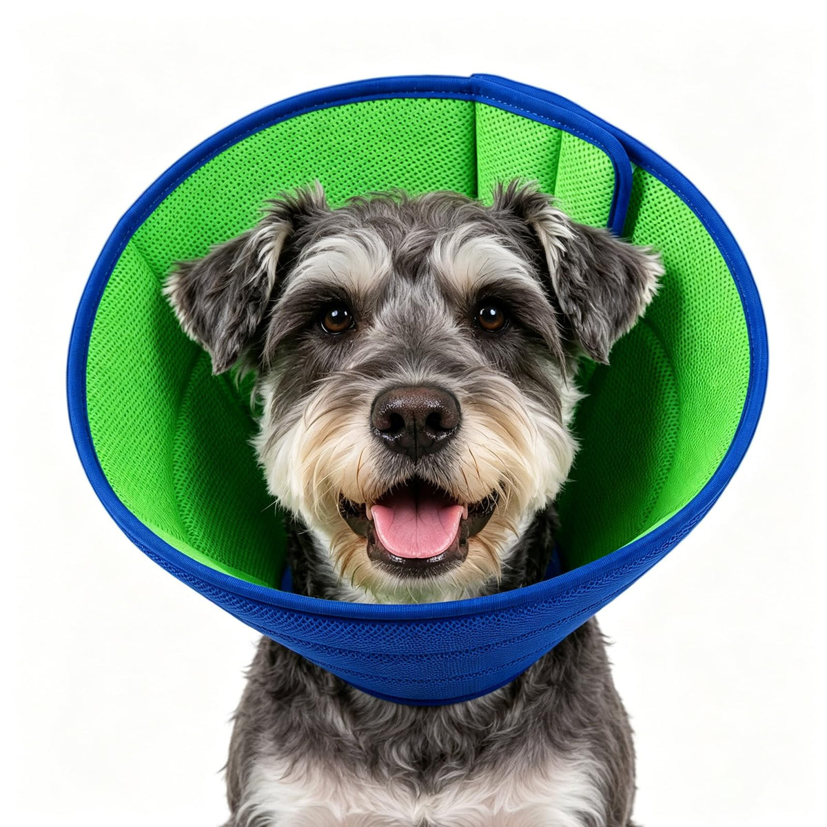 Soft Dog Cone Collar After Surgery, Adjustable Pets | Pet Essentials - Image 1