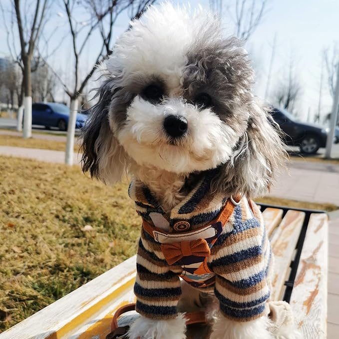Puppytie No Pull Small Dog Harness with Multifunction Dog Leash,Lightweight Soft Adjustable No Choke Escape Proof Pet Harness Vest Pet Harness Vest,Suede Bow Brown,S