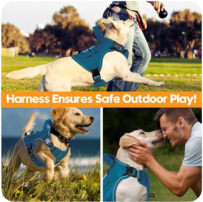 Heavy-Duty Tactical Dog Harness for Large Dogs, No Pull Adjustable Reflective Pet Vest with Molle System, K9 Military-Grade Control for Service Training, Outdoor & 10+ Breeds, Blue, Small