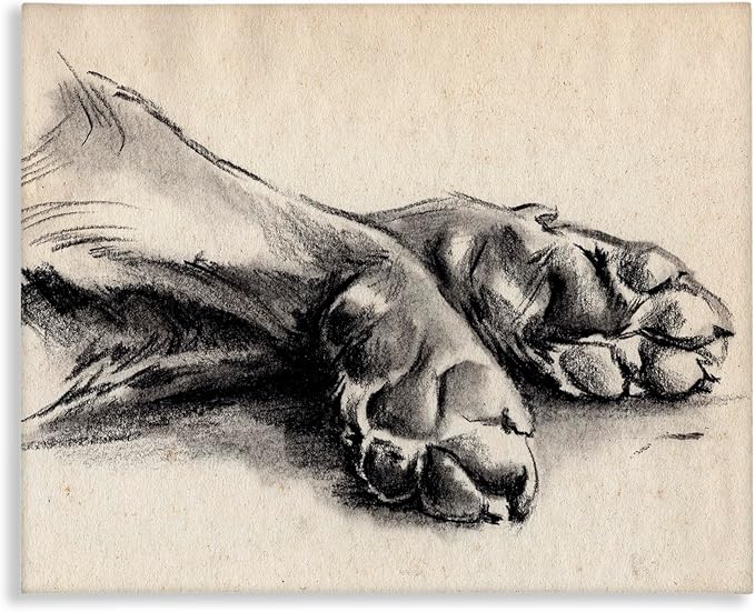 Stupell Industries Dog Paw Charcoal Design, Designed By Jennifer Paxton Parker, 40 x 30, Canvas Wall Art