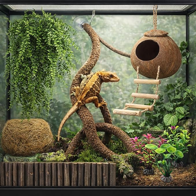 HERCOCCI Crested Gecko Tank Accessories, Reptile Hanging Plants Vines with Coconut Shell Ladder Hideout Hermit Crab Decor for Lizard, Chameleon Cage, Snakes, Hermit Crab, Leopard Gecko