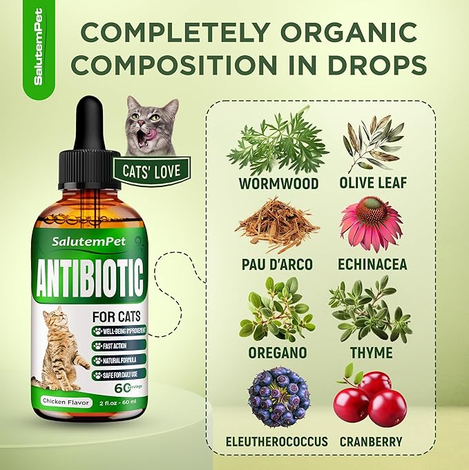 Cat Antibiotic for Infections, UTIs, Respiratory Moments, Cold, & Allergies | Antibiotics for Cats of All Ages & Breeds | Liquid Form | Natural Supplement with Chicken Flavor | 2 Oz