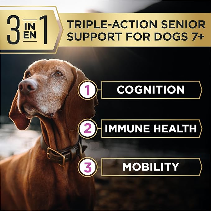 Purina Pro Plan AdvantEDGE Senior Support Plus Shredded Blend Chicken and Rice Formula Dry Dog Food - 22 lb Bag