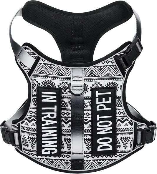 Light Dog Harness for Small Sized Dog Breeds, No-Pull Pet Harness with 2 Leash Clips, Adjustable Soft Padded Dog Vest, Reflective Pet Oxford Vest, Puggle, Terriers, Beagle, Black Ethnic S