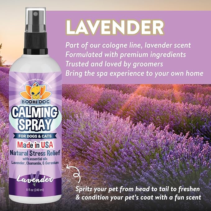 Calm Mist Spray – Lavender Anxiety Relief + Travel-Ready