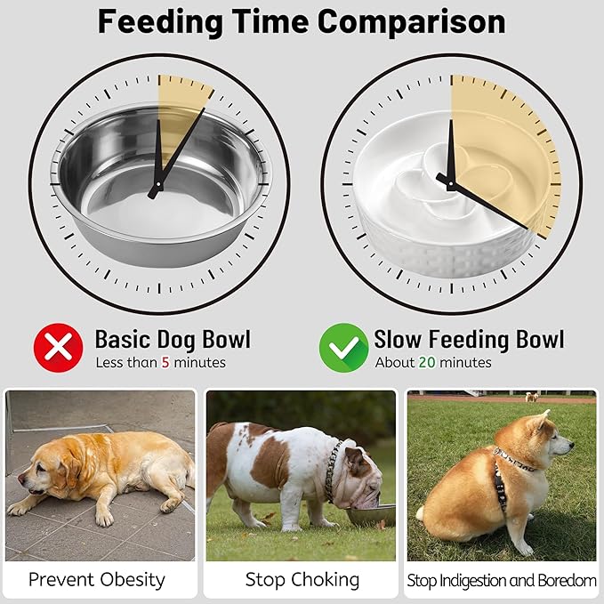 Slow Feeder Dog Bowls, Non Slip Ceramic Dog Bowl with Silicone Base, Slow Eating and Water Drinking Bowls, Heavy Food Bowl for Medium and Large Breed(White, 8")
