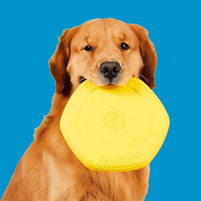 PROJECT HIVE ·PET COMPANY· - Hive Frisbee for Dogs - Dog disc - Great for Fetch - Includes a Lick mat on Back - Floats in Water, Smooth Glide - Made in The USA