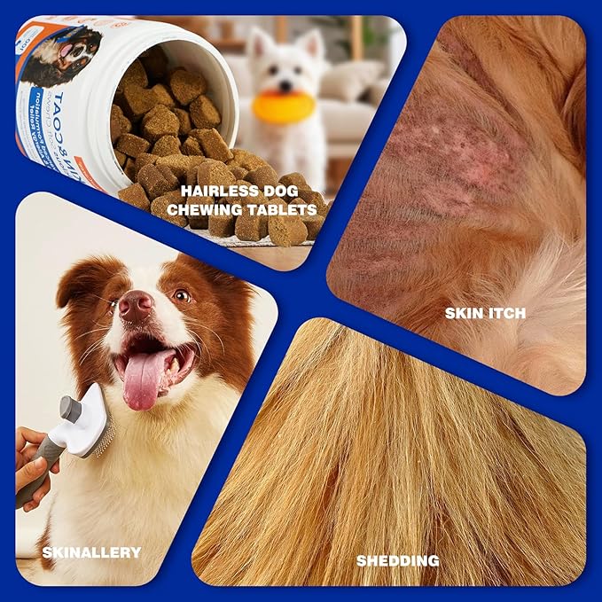Fish Oil Soft Chews for Dogs, Skin and Coat Chews for Dogs, Dog Fish Oil Treats for Shedding & Itchy Skin, Dog's Daily Supplement, Dog Food Companion, Chicken Flavor（Tester - 15Ct ）